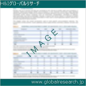 グローバルリサーチ調査レポートのイメージ